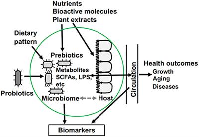 Editorial: Nutrients, Gut Microbiome, and Intestinal Inflammation